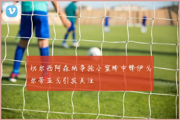 切尔西阿森纳争抢小蜜蜂中锋伊戈尔蒂亚戈引发关注